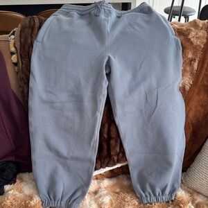 ARITZIA GOLDEN Jogger SWEAT Pants